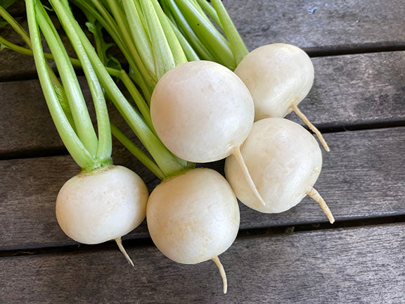 Kanamachi Turnip bunch