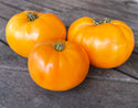 Loxton Lass tomatoes