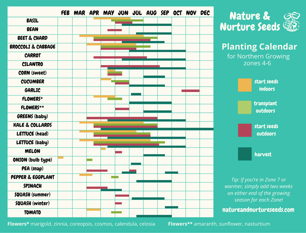 Free download of our seed planting calendar