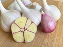 Music Organic Seed Garlic