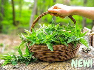 Organic Nettles in Basket