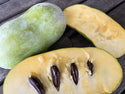 Paw Paw (Boone Farm) Seeds