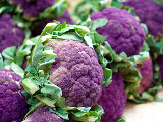 Purple of Sicily Cauliflower