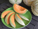 Organic Melon & Watermelon - Plants for Pre-Order