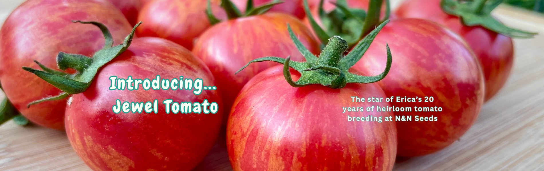 Website banner desktop 4