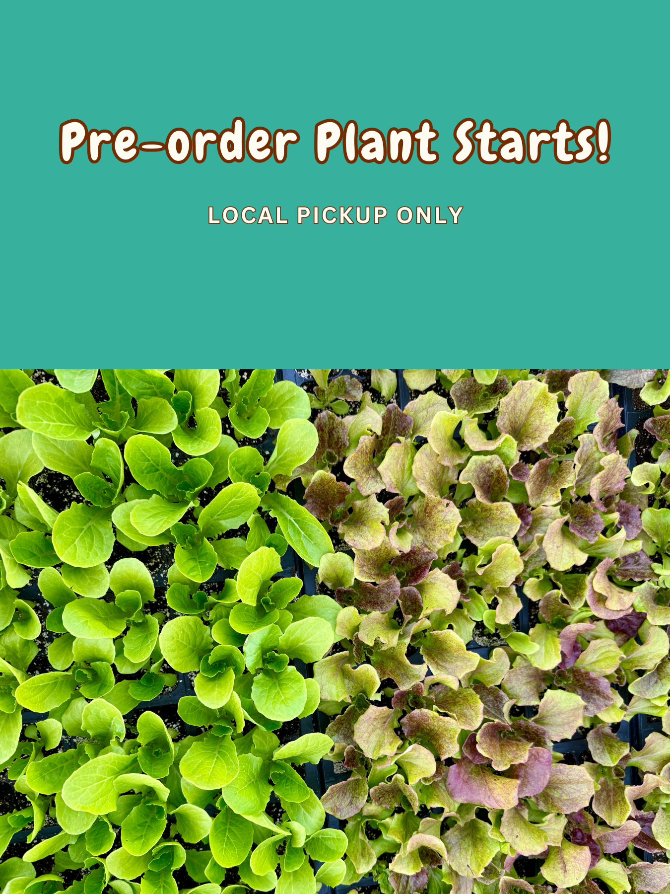 Website banner desktop 600 x 300 px 4891dcd0 5b97 4631 a73e e3579a374095