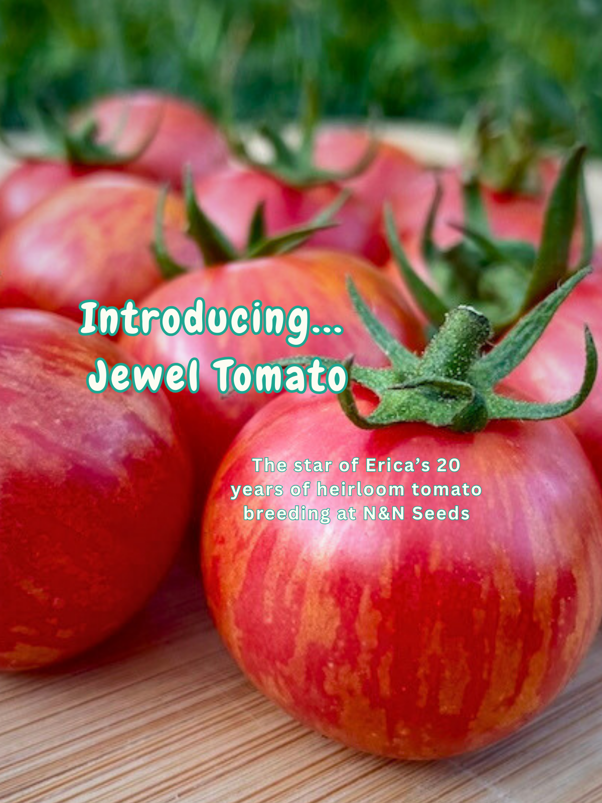 Website banner desktop 600 x 300 px e42951c6 30ff 4519 ae11 a9e6a46c0fea