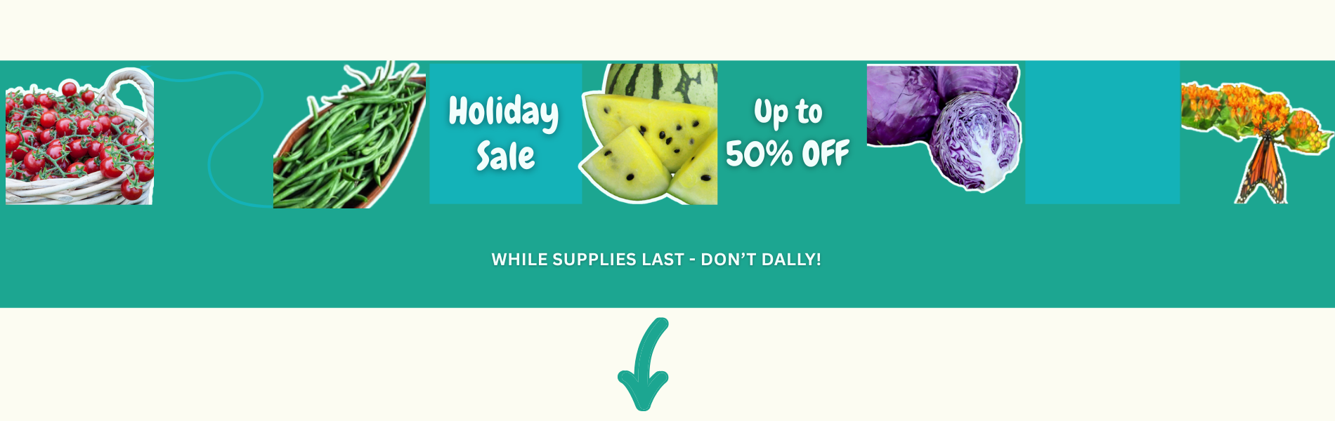 2025 SALE - up to 50% OFF