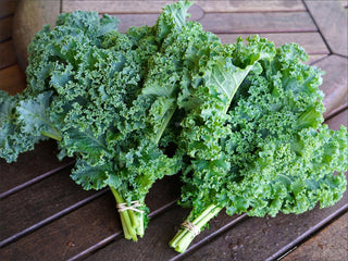 Bunch of Alive Vates kale with tender, ruffled leaves