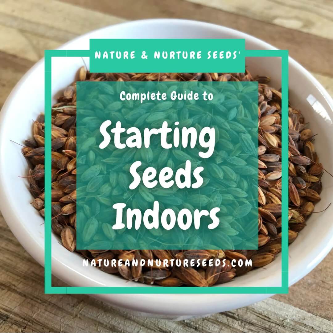 The complete guide to starting seeds indoors.