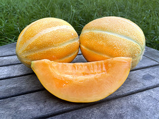 Emerald Gem Organic Melon