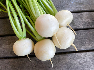 Bunch of white Kanamachi turnips with their greens still attached