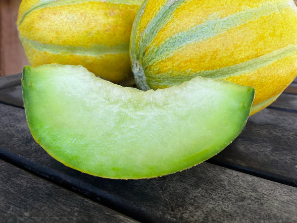 Moonglow Organic Melon Seeds
