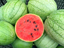 Munchkin Organic Watermelon Seeds