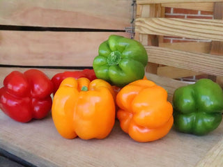 Assorted red, yellow, and green bell peppers