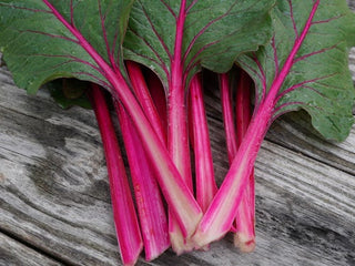 Bundle of Pink Passion Swiss chard with vibrant pink stems
