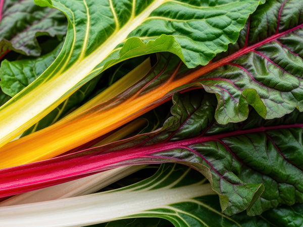 Organic Greens - Plants for Pre-Order