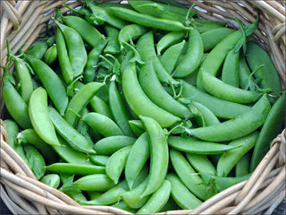 Basket of crisp green sugar snap peas