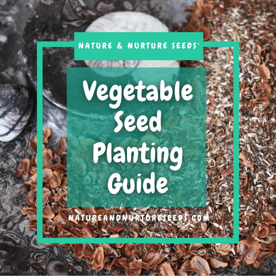 Kearn more with our vegetable seed planting guide.