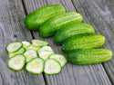 Chicago Pickling Cucumber sliced