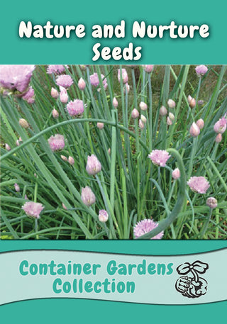 Container Garden Seed Collection