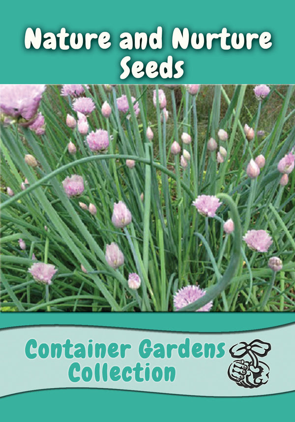 garden seeds and bulbs Container Garden Seed Collection – Grow Fresh Herbs & Veggies in Pots