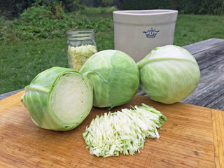 Dottenfelder Cabbage