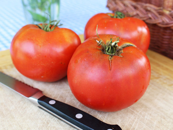 The Riddle of Beefsteak Tomatoes: Is Beefsteak Tomato Hybrid? – FarmerFlints