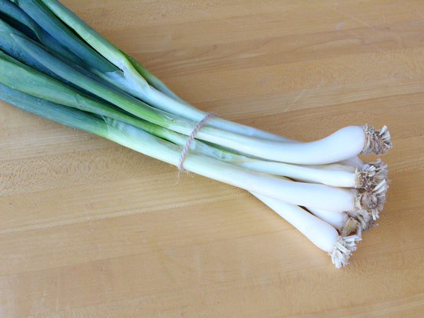 plant green onion seeds Evergreen Hardy Green Onion Seeds