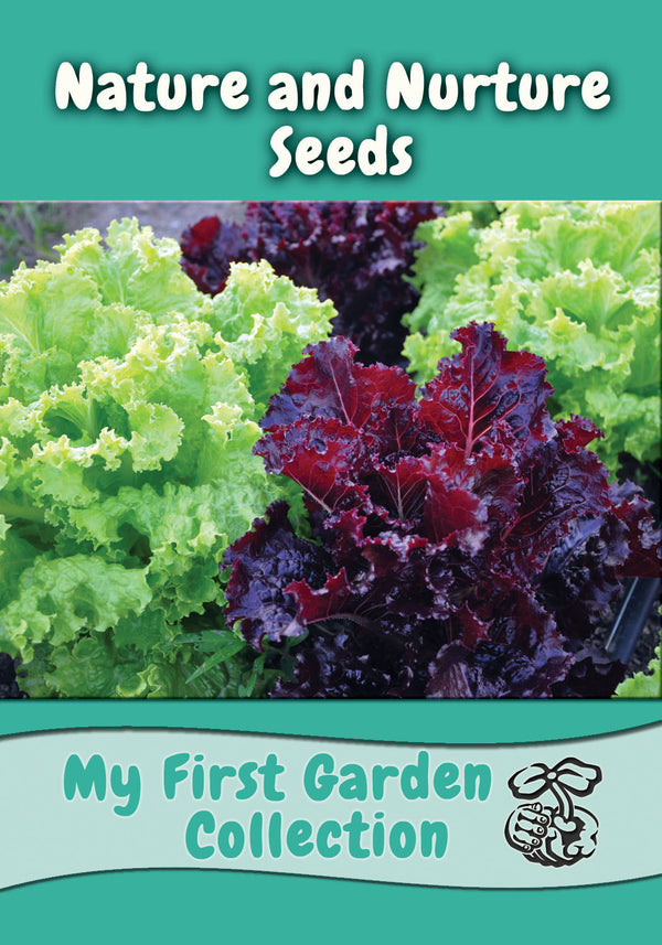 the seed garden My First Garden Seed Collection - Grow Easy, Colorful Veggies Fast