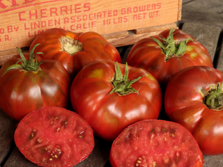 Paul Robeson Tomatoes