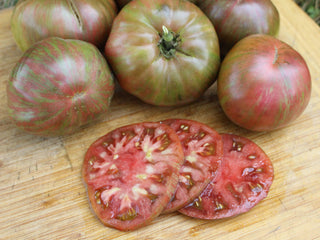 Pink Berkeley Tie Dye Tomato