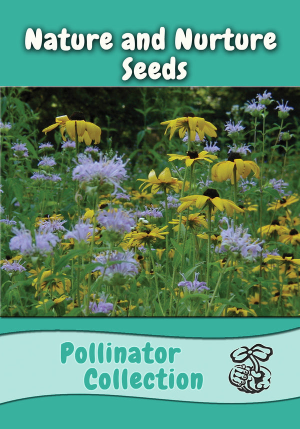 flower seeds that attract bees Pollinator Seed Collection