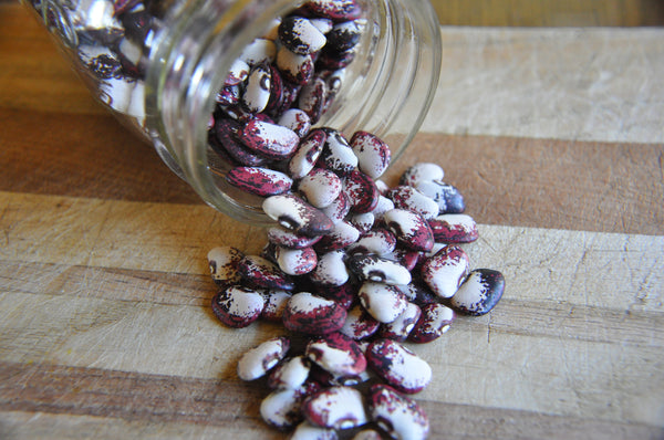 Potawatomi Lima Bean seeds