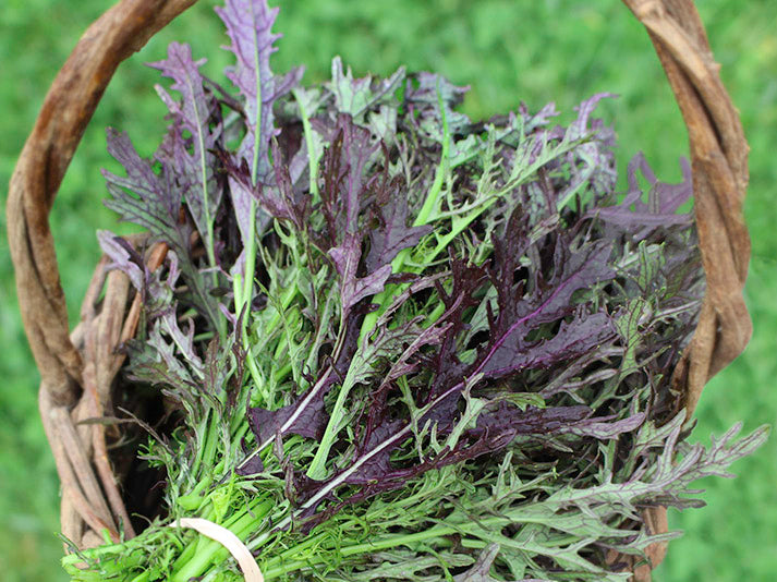 Ruby Streaks Mustard Greens Recipe at Willie Mixon blog