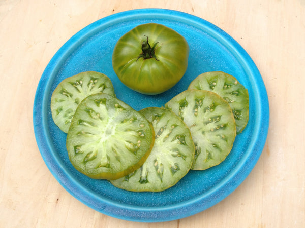 Tasty Evergreen Tomato