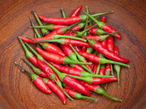 planting hot pepper seeds Tiny Chinese Organic Hot Pepper Seeds